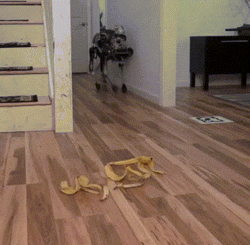 tkr:  tumblr_o9922hVURj1qc5uqlo1_r1_400.gif