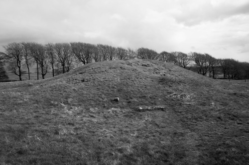 Gib Hill Barrow, Derbyshire, 30.4.16. The monument is distinctive in that the initial Neolithic oval