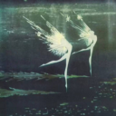 sparrowchild - Sparrow_Child