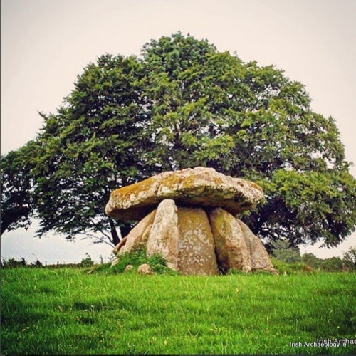 irisharchaeology:  Tthe Neolithic portal tomb/dolmen at Haroldstown, Co Carlow, Ireland. It’s circa 5500 years old    Source