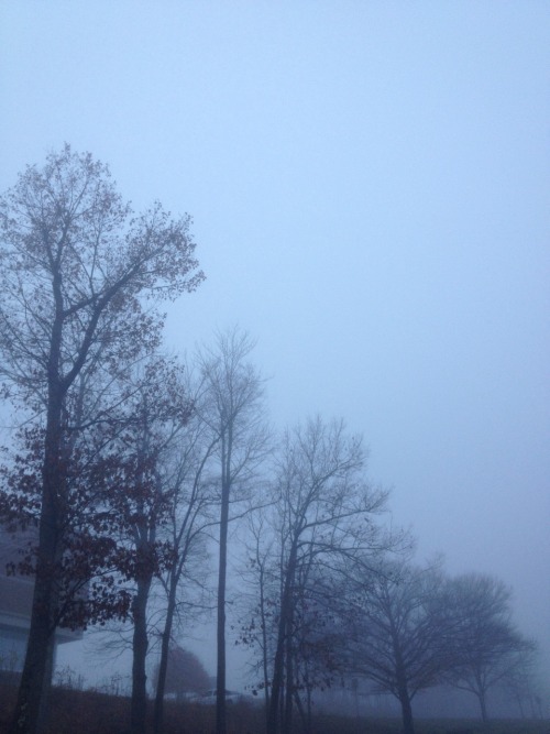 bonusocean:this morning i woke up very early and outside was foggy + nice