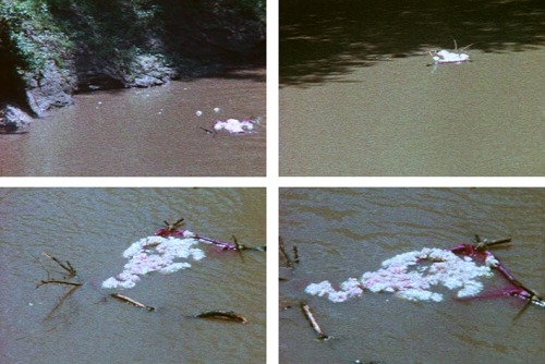 letargos:  Ana Mendieta Untitled ‘flower person #1, #2’ (1975) 