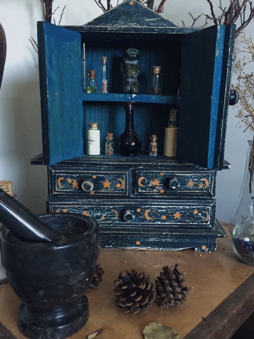 daniwitch:rosemary-by-your-garden-gate:witches cabinet appreciationOhhh myyy