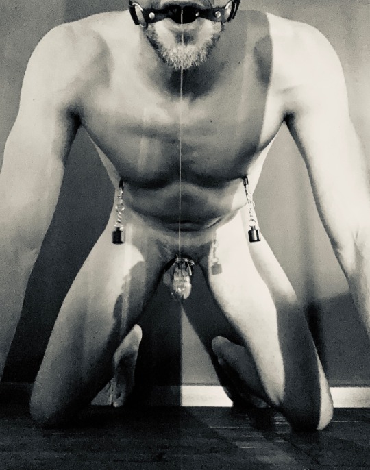 grandtoy:  becomingslave:  Dripping!becomingslave®️  J’aime trop quand le Maitre décide de me faire subir sa puissance et sa domination : moi nu, vulnérable et à 4 pattes, la queue en cage, les tétons douloureusement étirés, la bouche remplie,