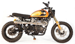 caferacerpasion:  Triumph Scrambler SCR900 Competizione by Gallimotowww.caferacerpasion.com