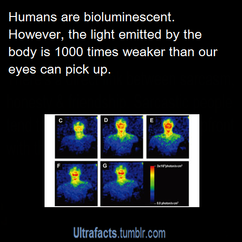 ultrafacts:  Source For more facts follow Ultrafacts