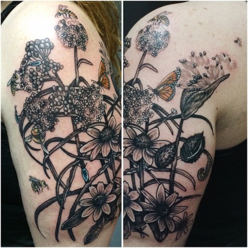Milkweed, brown eyed Susan, and pollinators from yesterday! Thanks melissa for sitting like a floral