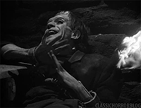 classichorrorblog:  Frankenstein (1931) 