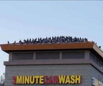 picsthatmakeyougohmm: