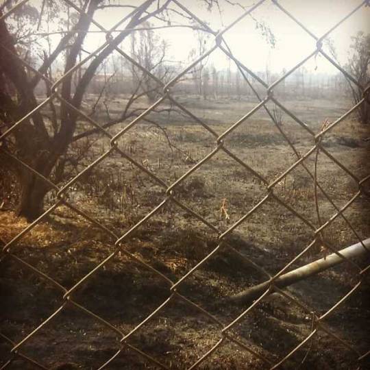 AsΓ queda despuΓ©s del incendio, aparente no le pasΓ³ nada al los ductos de pemex π
π
π (en Mexico City,...