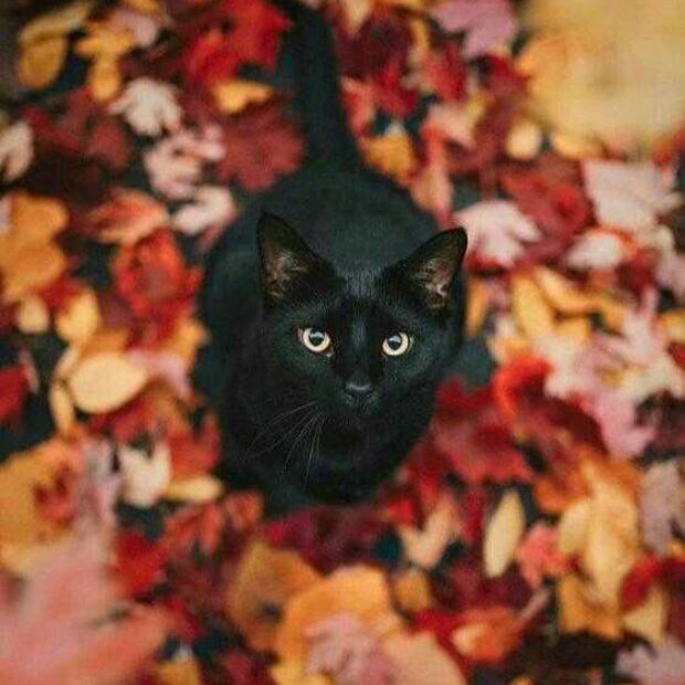 Winter Is Coming.
