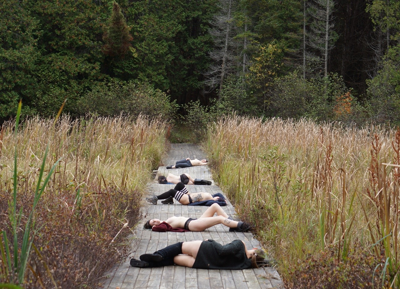 herdirtylittleheart: “Nothing in nature blooms all year.”   Into the Woods -
