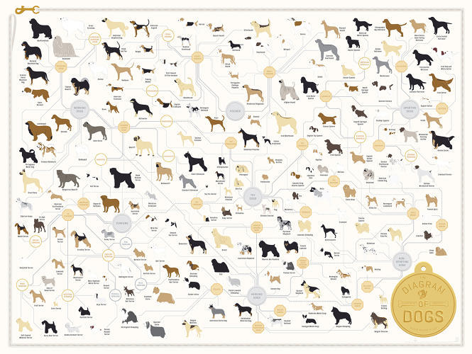 Just in time for the Puppy Bowl!
181 Breeds Of Dog On One Awesome Poster - Co.Design