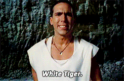 julian-jetson:  It’s Morphin’ Time!