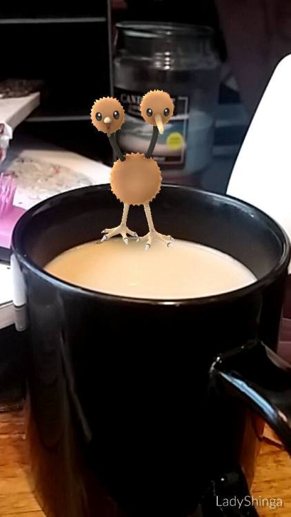 ladyshinga: HEY. That’s MY coffee, you little shit! PS I wasted like 12 balls on this asshole
