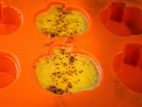 thehalfrolatina:  greatfoodlifestyle:Paleo Pumpkin Jello Bites are a simple, delicious snack or dessert.  The pumpkin supplies vitamins and fiber, and the gelatin supports liver function.  The coconut cream and raw honey boost energy levels.  My kids