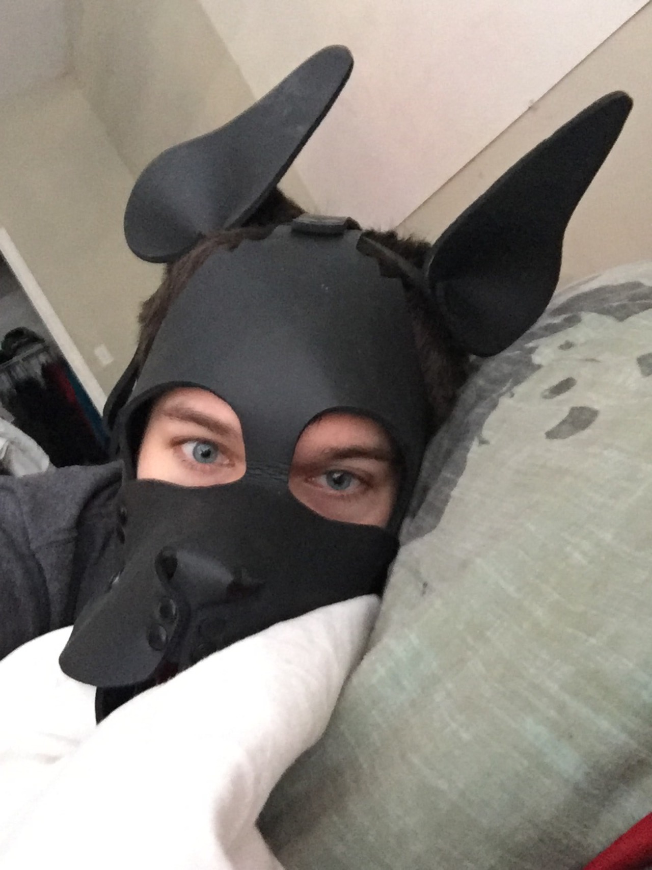 thecuteststraypup:Pup doesn’t want to go to work. Pup wants to sleep and get off.