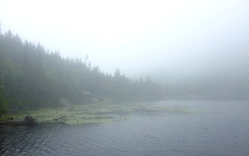 pedrodynomite:Misty mountain lake in New Hampshire.