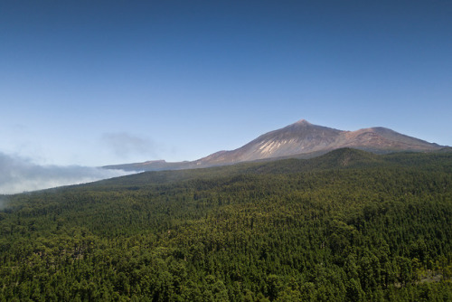 Mount Teide from Arenas Negras by Herr Olsen