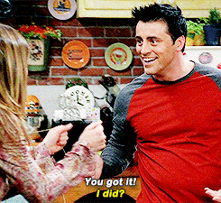 joey&rachel | the cobras