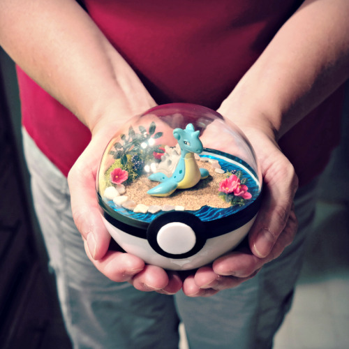 expedition-pokemon-go: laurens-crazy-tumbler: More Poke’ ball terrariums!  “Gotta b