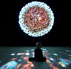 maxireporter:  Sikka Magnum by Daniel Canogar : Fascinating Art Installation made with DVD Discs 