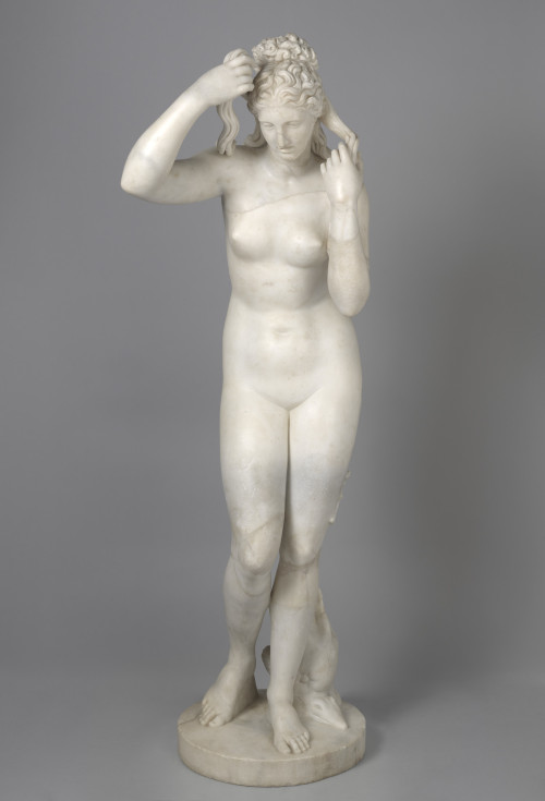 Venus Anadyomene (Roman 1st Century)