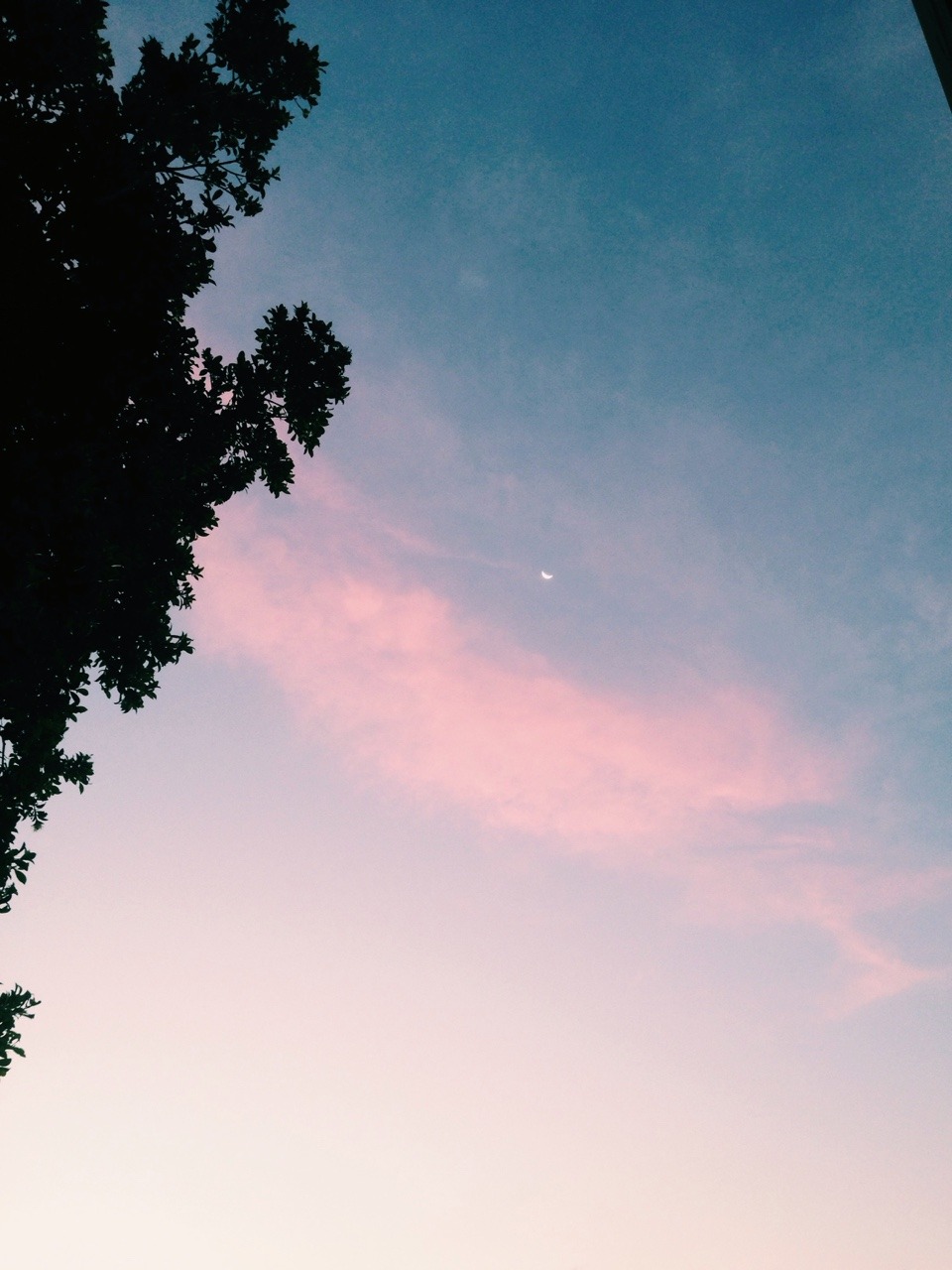 ♡