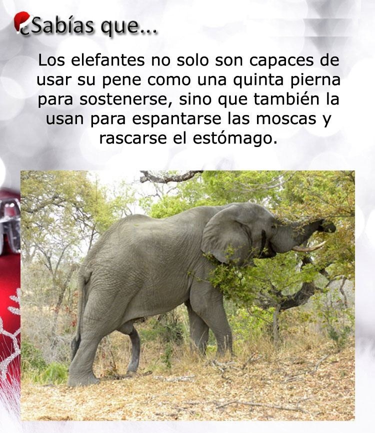 jaidefinichon:  momento de cultura en HD