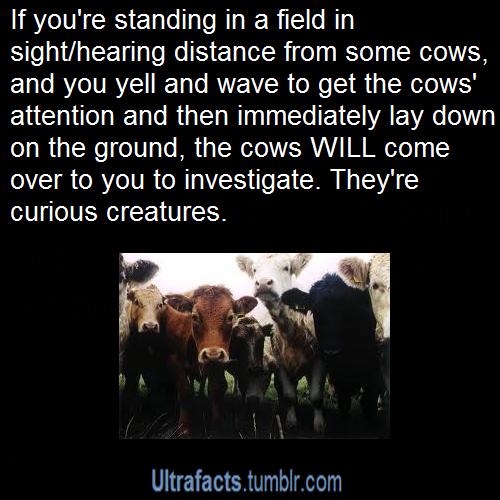 ultrafacts:moonbehindclouds:longslife: ultrafacts:  (Source)For more posts like this,