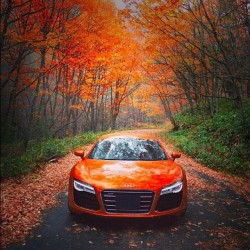Audi-Obsession:  Happy Thanksgiving Canada!  @Audi: Carve Curves Instead Of Pumpkins.