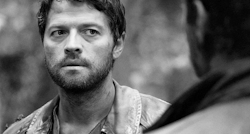 Mishas-Assbutts:  [X]