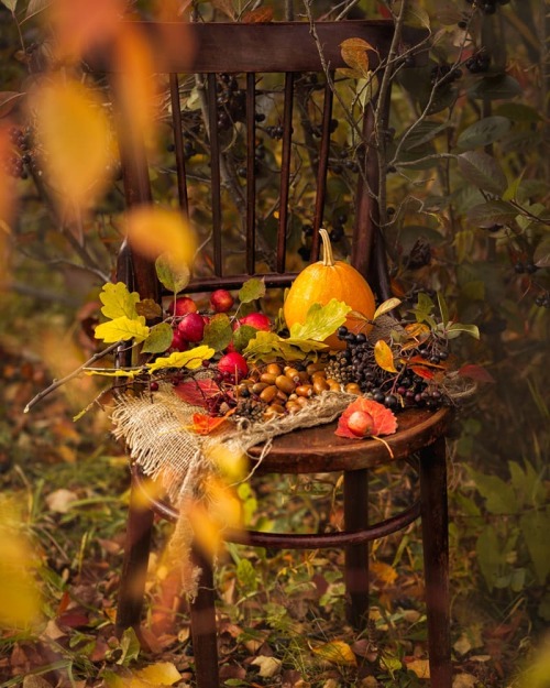 autumncozy:By tatianabolsunovskay
