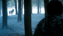 rubyredwisp:  Game of Thrones 3.03 - Walk of PunishmentThere’s a beast in every