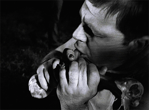 georgeromeros:Night of the Living Dead (1968) dir. George A. Romero