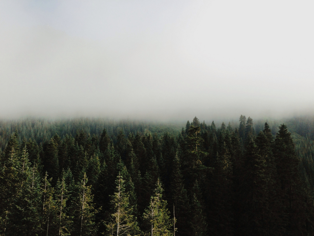 atraversso:  Beautiful Nature  by Kevin Russ  