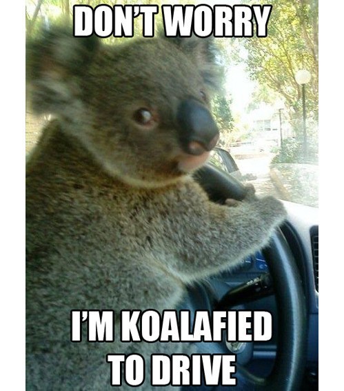 Jordan! I can&rsquo;t drive &lsquo;til November BUT I thought I was a goner