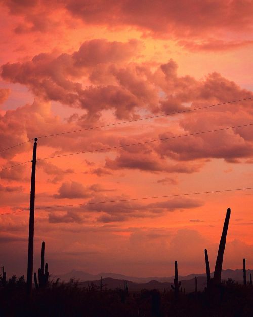 Over the weekend, a huge thunderstorm rolled through #Tucson and it was a beatific and majestic sigh