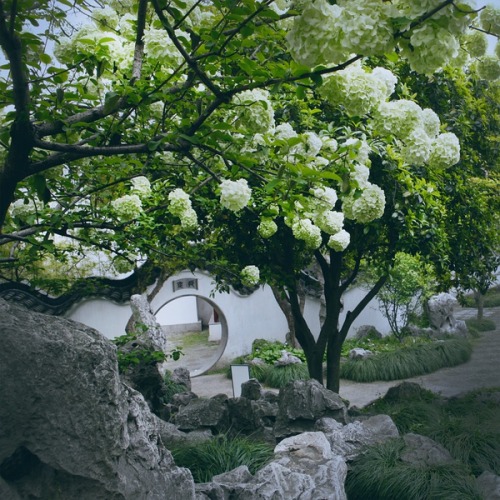 pink-summer-peonies:The first picture is of 环秀山庄 (Huanxiu Mountain Villa or “Mountain Villa with Emb