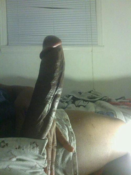 sohardritena:  DICK HARD AZ FUCK