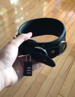 aqh:OK Tom and NYC Lawyer Faggot, I got a new toy.  Which one of you wants to be the first to try it out?  Mind you, once I lock it on, you will have to earn the right to have it taken off.  Let me know, faggots.  Eager to see which of you it looks