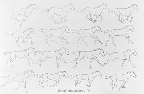 Some study sketches of horse movement and structure. It is always fun to do sketches like these. Ple