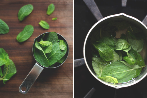 Herbal Lemonade Station