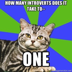 Introvert Problems