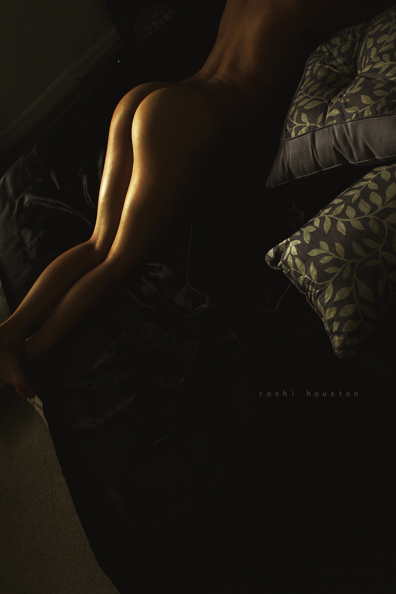 roshihouston:  the back lighting | mrs.houston photo by roshi houston