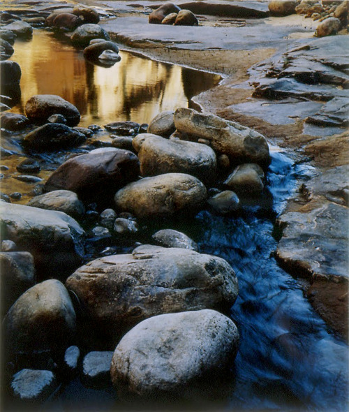 LINHOF SUPER TECHNIKA 4X5
Aztec Creek, Glen Canyon, Utah – Blue/Gold Colors Reflected, 1962, Eliot Porter
© Estate of Eliot Porter
Found: U of Wyoming Art Museum, Accessed Jan 05, 2013