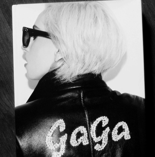 queengags:  youngstardreamer:  I must met this lady gaga fan  okay? 