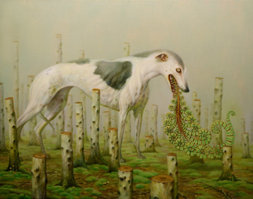 Martin Wittfooth