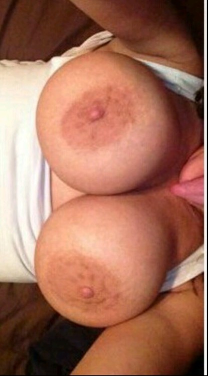 bigareola:  Thanks for the submission!