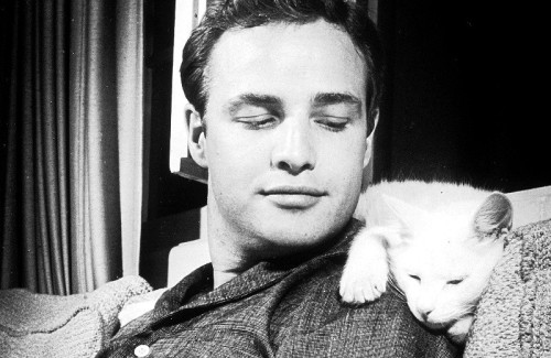 fishingboatproceeds:terrysmalloy:Marlon Brando with his pet cat, 1954.I’m sorry, are these pictures 